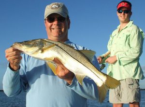 tampa bay fishing - catch a snook