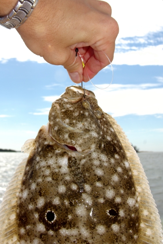 Fishing for flounder in Florida