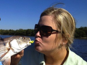 Redfish during Red Tide