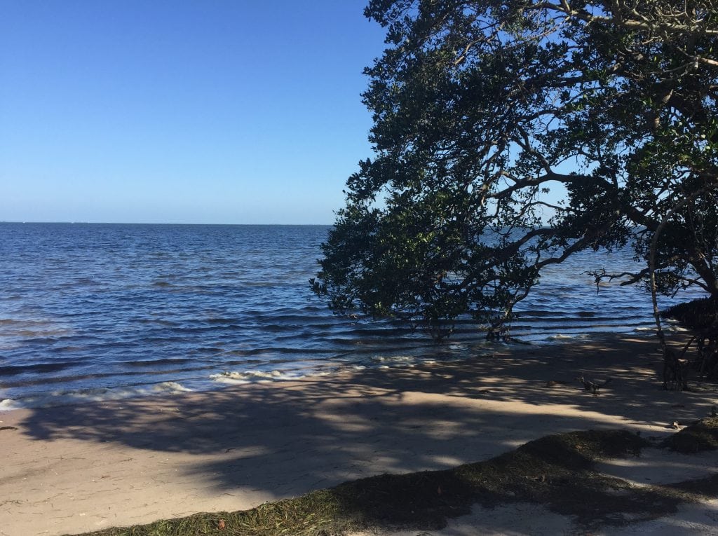 Beach at Robinson Preserve